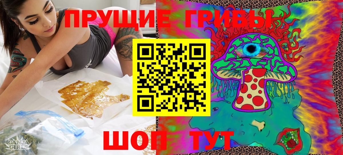 Галлюциногенные грибы Psilocybe Зеленогорск